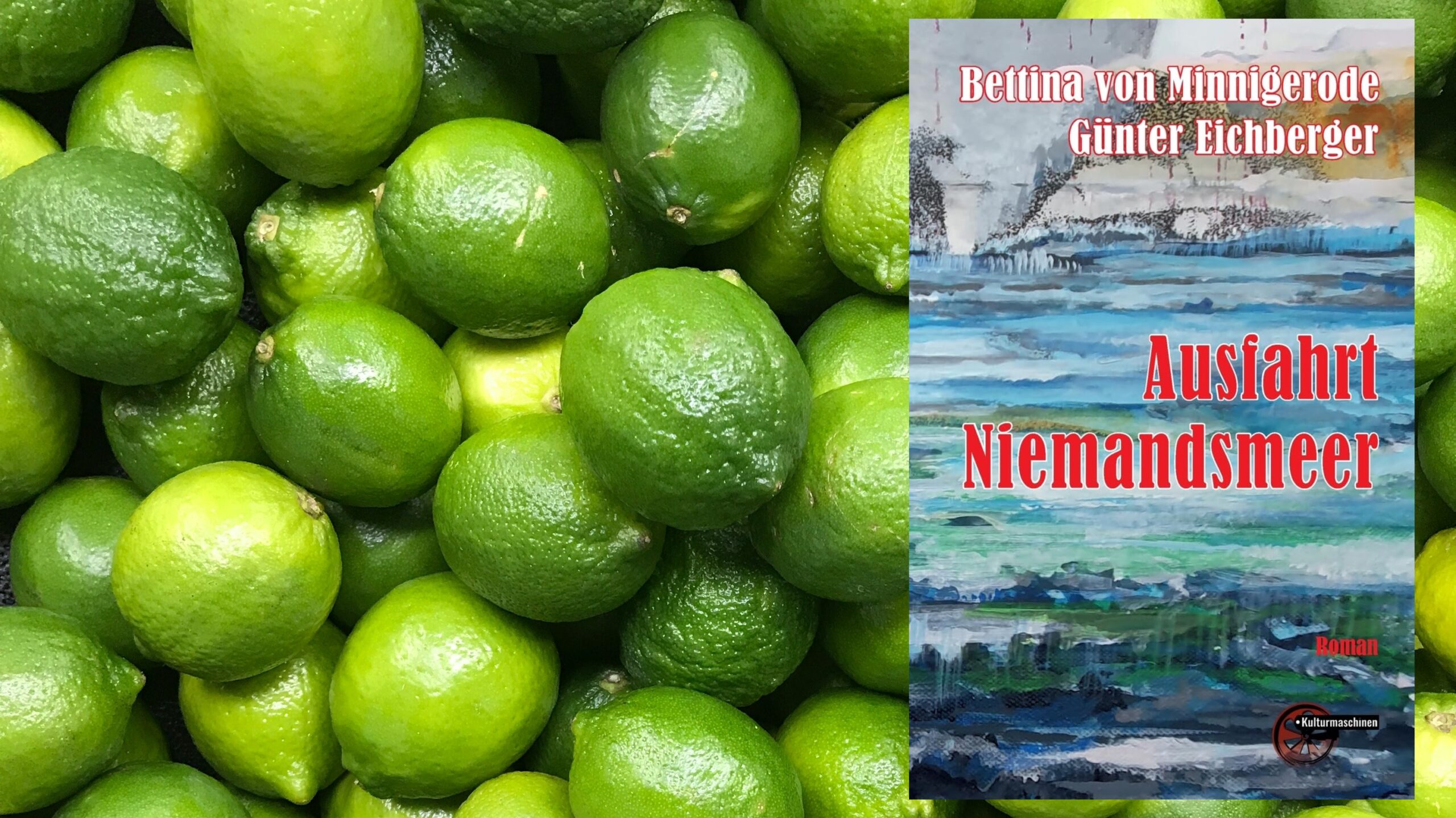 „Ausfahrt Niemandsmeer“ von Bettina von Minnigerode und Günter Eichberger